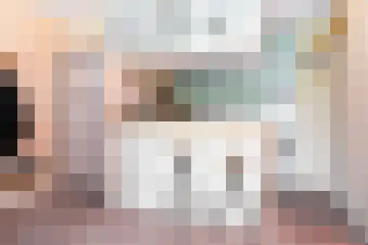 Aalscholversingel 438 Velp thumbnail 19