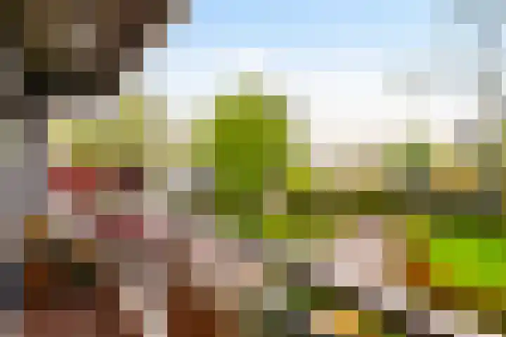 Aalscholversingel 438 Velp thumbnail 23