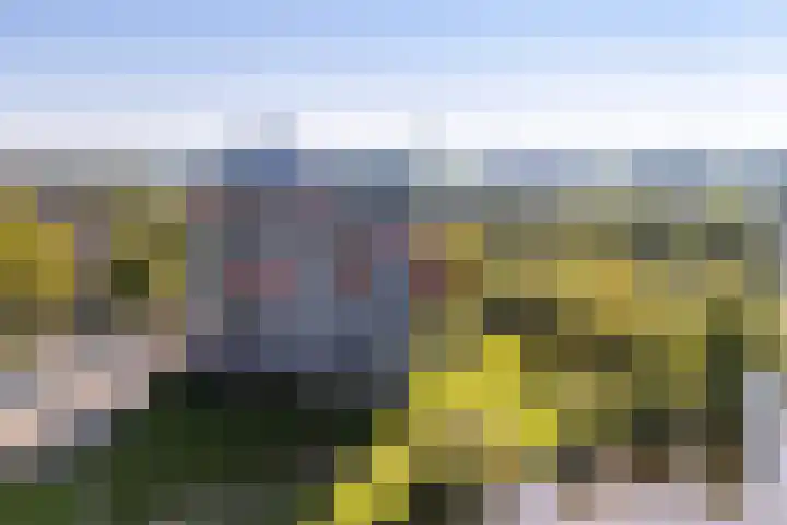 Aalscholversingel 438 Velp thumbnail 29