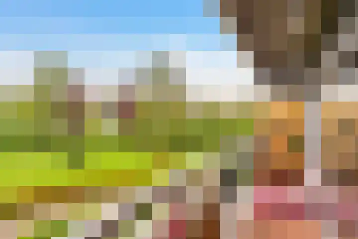 Aalscholversingel 438 Velp thumbnail 4