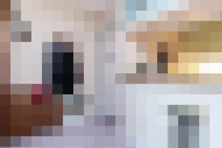 Aalscholversingel 438 Velp thumbnail 9