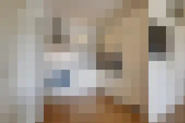 Aalscholversingel 448 Velp thumbnail 10