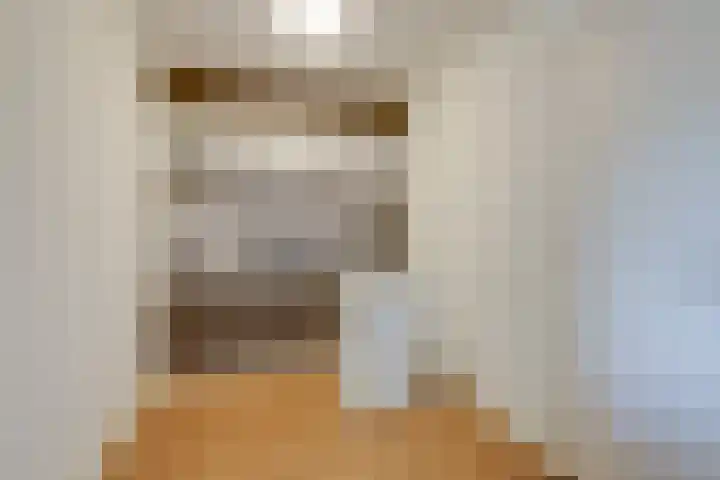 Aalscholversingel 448 Velp thumbnail 13