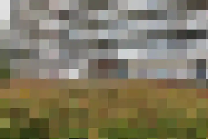 Aalscholversingel 448 Velp thumbnail 18