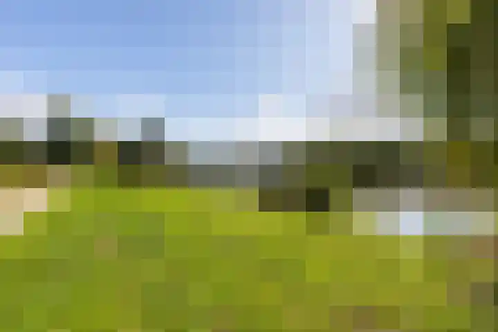 Aalscholversingel 448 Velp thumbnail 21