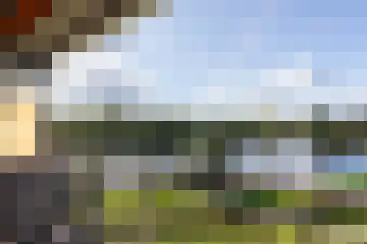 Aalscholversingel 448 Velp thumbnail 7