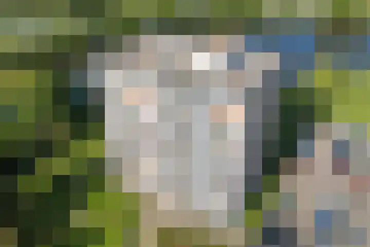 Aalscholversingel 450 in Velp