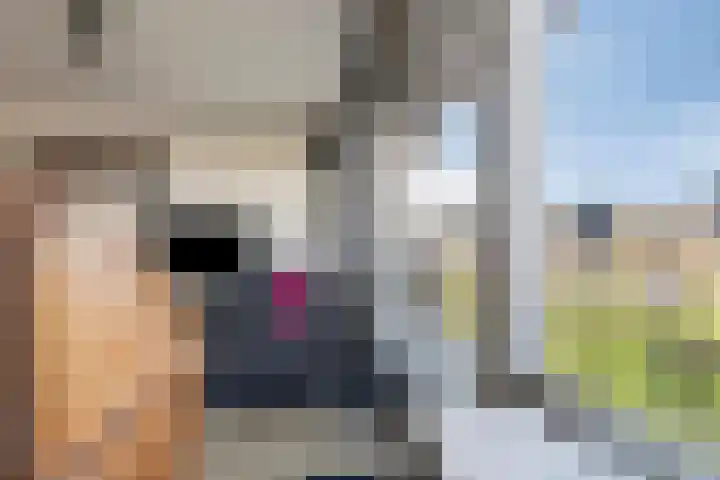 Aalscholversingel 46 Velp thumbnail 24