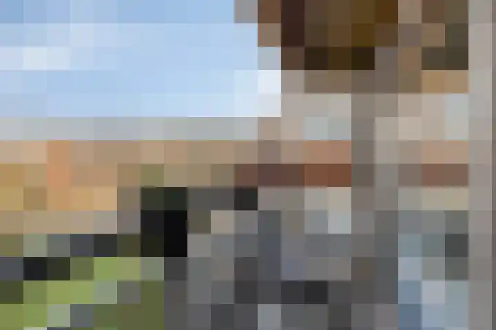Aalscholversingel 46 Velp thumbnail 26