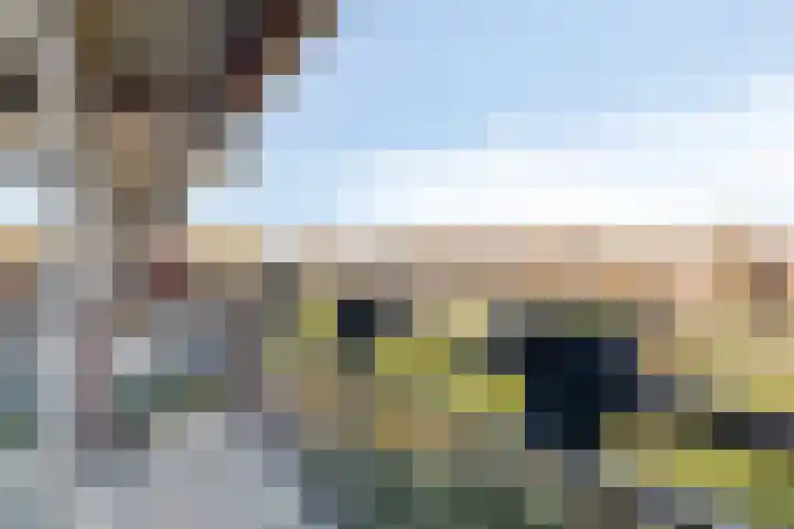 Aalscholversingel 46 Velp thumbnail 4