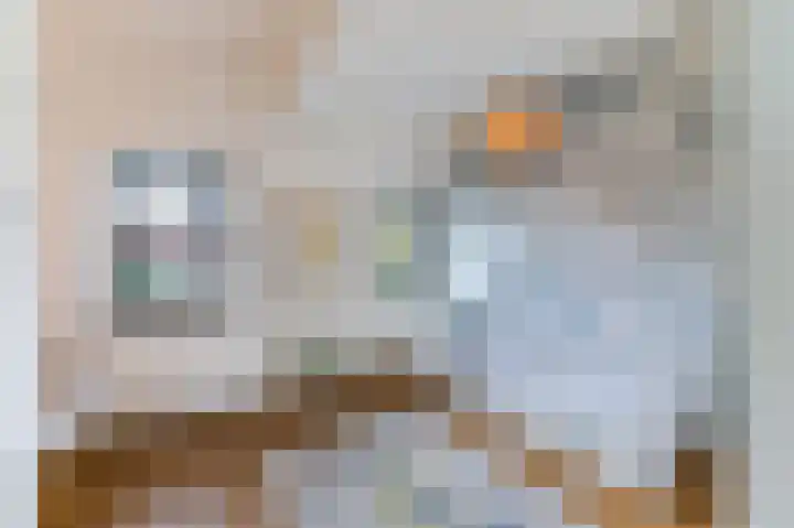Aalscholversingel 46 Velp thumbnail 5
