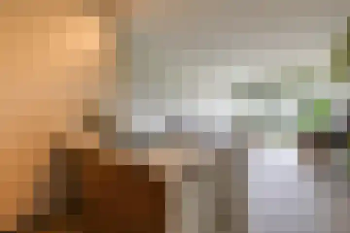 Aalscholversingel 490 Velp thumbnail 12