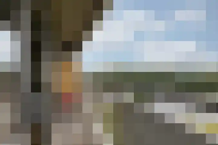 Aalscholversingel 490 Velp thumbnail 17