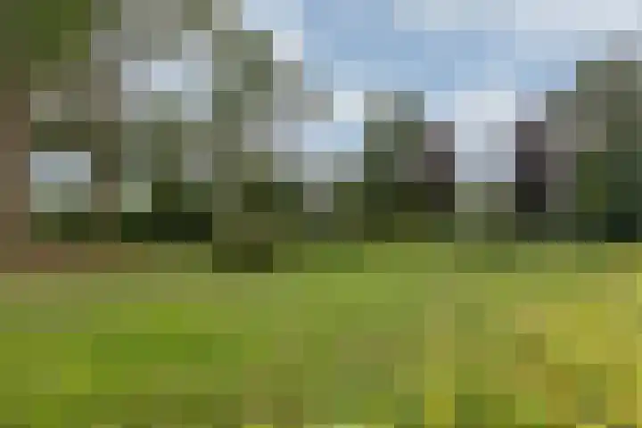 Aalscholversingel 490 Velp thumbnail 22