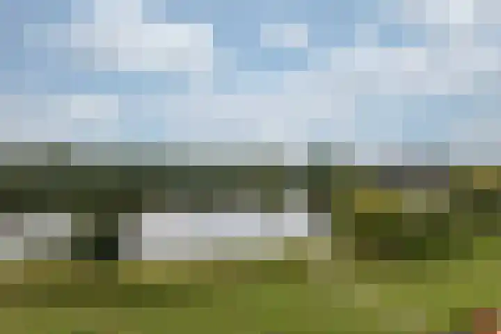 Aalscholversingel 490 Velp thumbnail 4