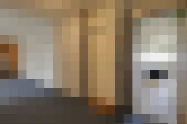 Aalscholversingel 490 Velp thumbnail 5