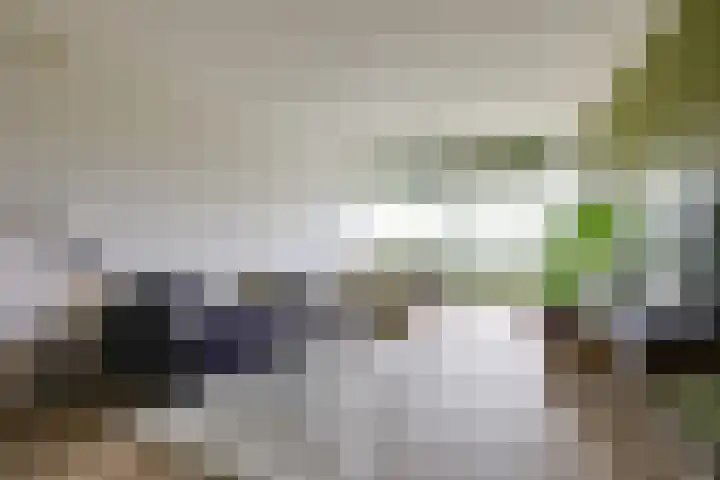 Aalscholversingel 490 Velp thumbnail 7