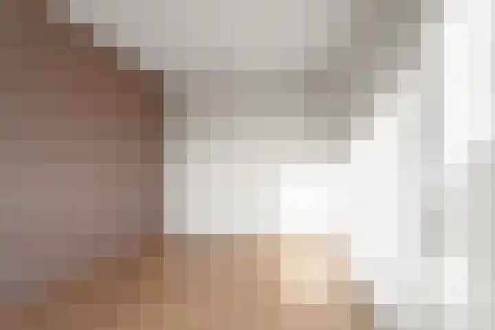 Aalscholversingel 498 Velp thumbnail 17