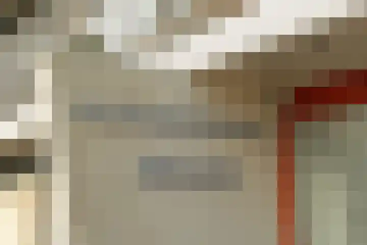 Aalscholversingel 498 Velp thumbnail 23