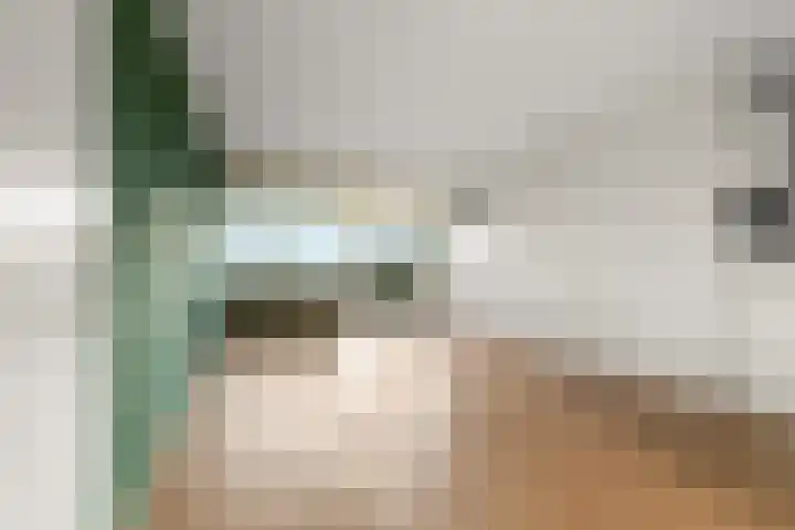 Aalscholversingel 498 Velp thumbnail 4