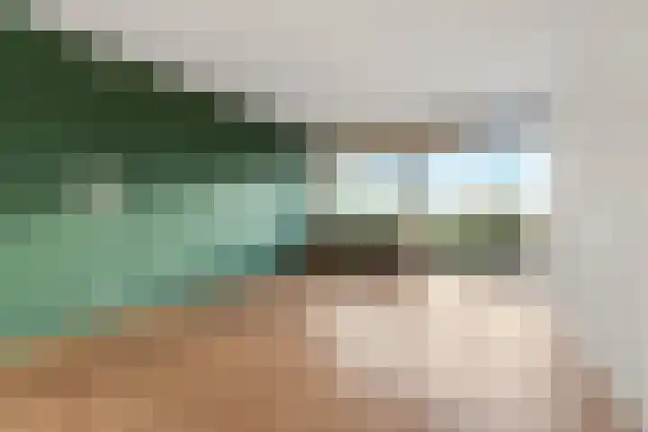 Aalscholversingel 498 Velp thumbnail 5