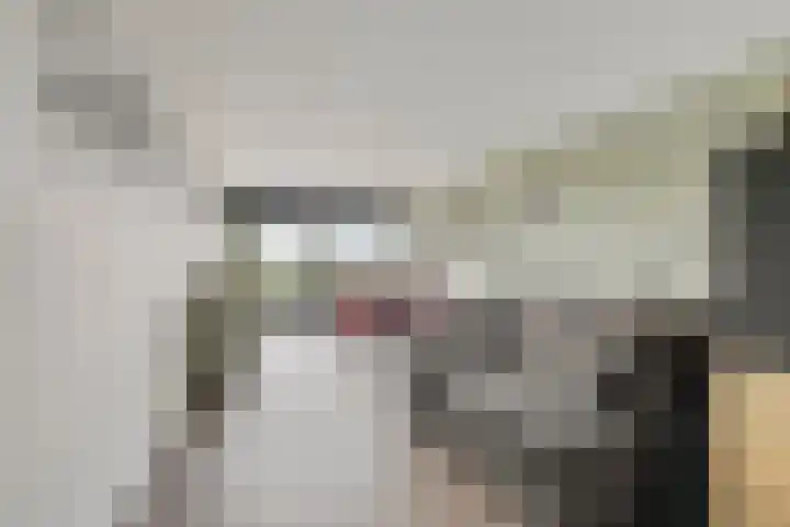 Aalscholversingel 510 Velp thumbnail 11