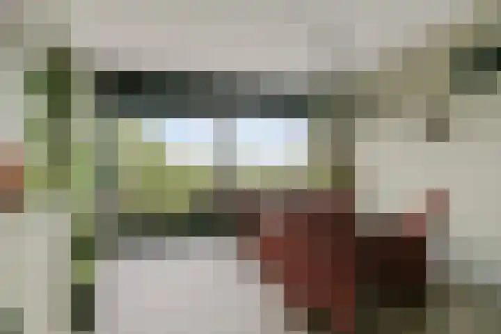 Aalscholversingel 510 Velp thumbnail 12