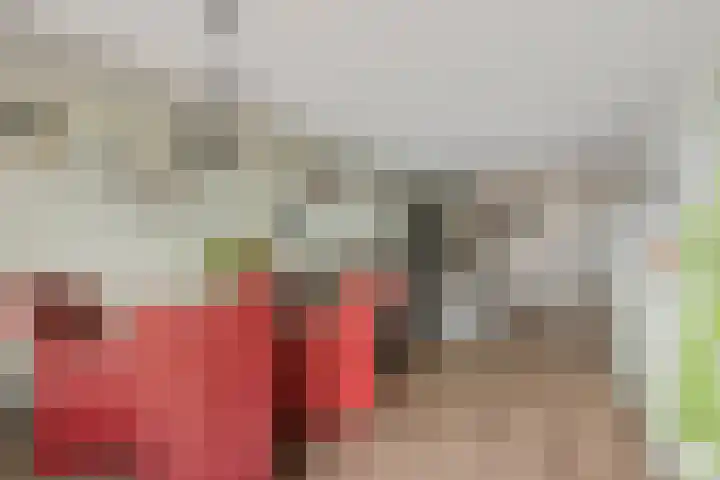 Aalscholversingel 510 Velp thumbnail 14