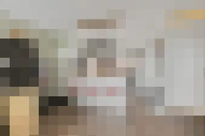 Aalscholversingel 510 Velp thumbnail 15