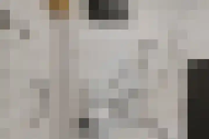 Aalscholversingel 510 Velp thumbnail 23
