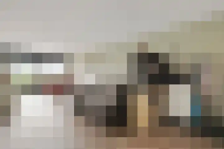 Aalscholversingel 510 Velp foto 3