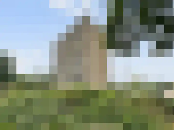 Aalscholversingel 510 Velp thumbnail 34