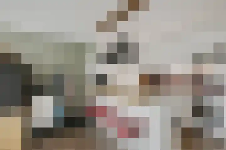 Aalscholversingel 510 Velp thumbnail 4