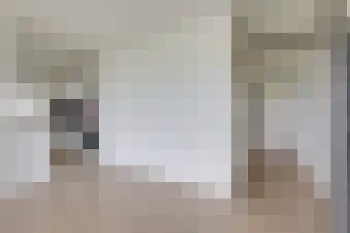 Aalscholversingel 588 Velp thumbnail 14