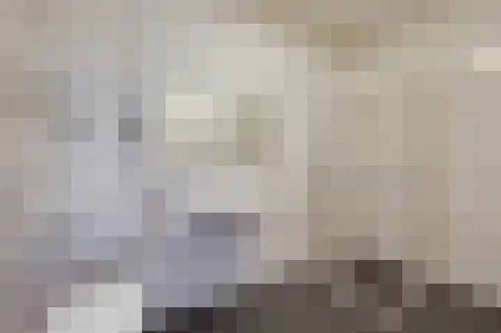 Aalscholversingel 588 Velp thumbnail 15