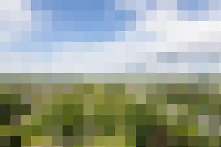 Aalscholversingel 588 Velp thumbnail 9