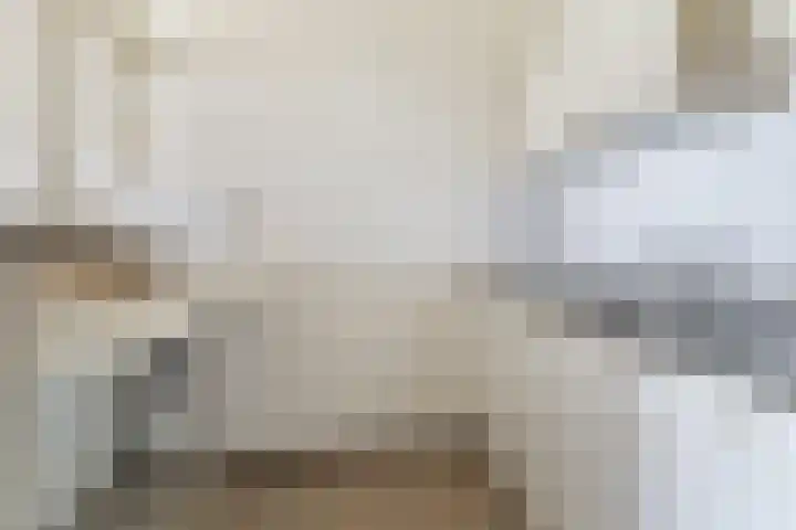 Aalscholversingel 600 Velp thumbnail 13