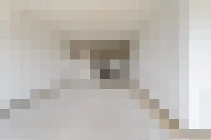 Aalscholversingel 600 Velp thumbnail 16