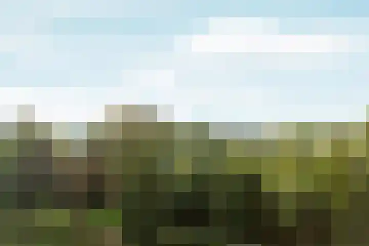 Aalscholversingel 600 Velp thumbnail 5