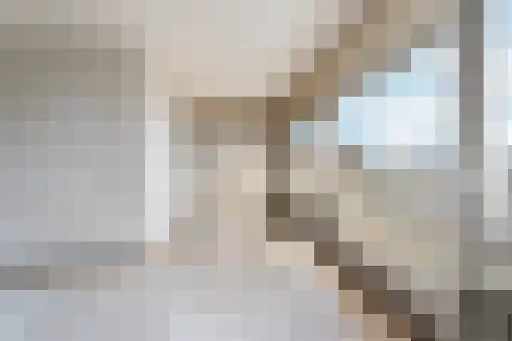 Aalscholversingel 600 Velp thumbnail 7
