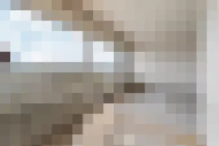 Aalscholversingel 600 Velp thumbnail 8