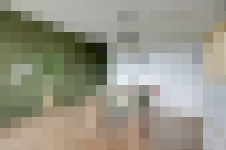 Aalscholversingel 62 Velp thumbnail 10