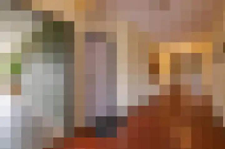 Aalscholversingel 62 Velp thumbnail 12