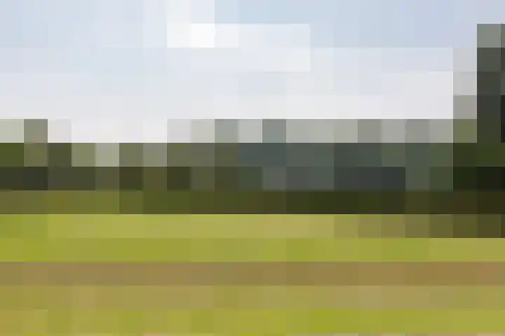 Aalscholversingel 62 Velp thumbnail 21