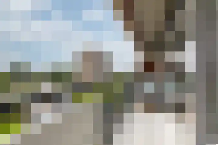 Aalscholversingel 62 Velp thumbnail 7