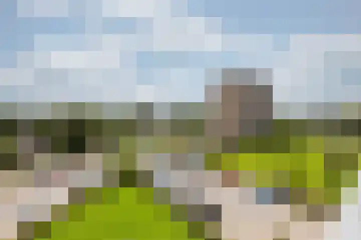 Aalscholversingel 62 Velp thumbnail 8