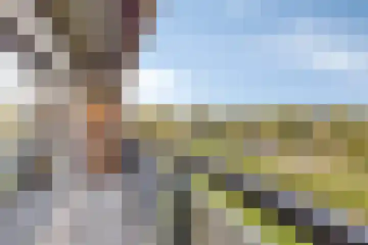 Aalscholversingel 68 Velp thumbnail 28