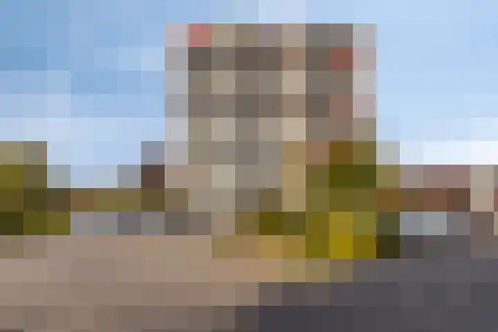Aalscholversingel 68 Velp thumbnail 31