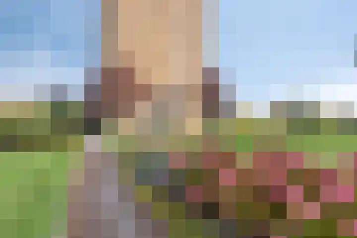 Aalscholversingel 68 Velp thumbnail 32