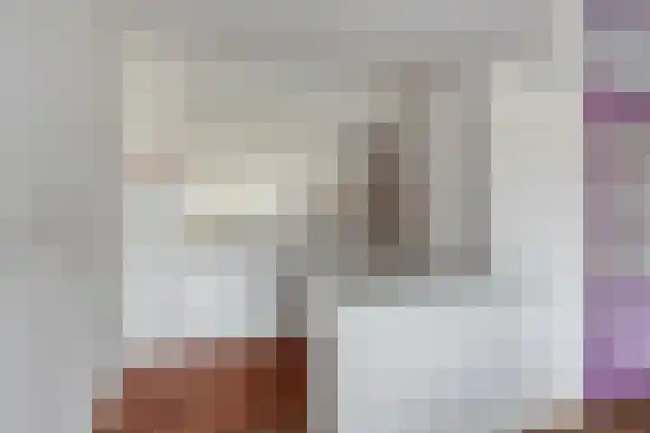 Aalscholversingel 68 Velp thumbnail 4